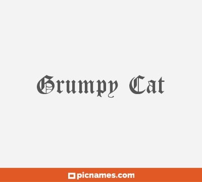 Grumpy Cat